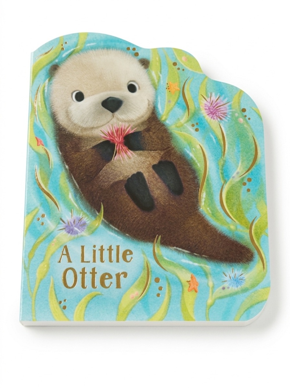 🎉A Little Otter Board Book